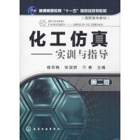 化工仿真-实训与指导(第二版)