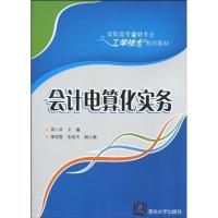 [M]会计电算化实务-9787302217398