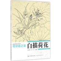 初学者之友-白描荷花