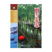 雨雪霏霏