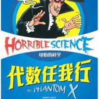 可怕的科学·经典数学系列:代数任我行