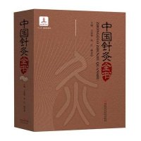中国针灸全书