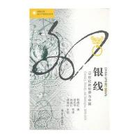银线:19世纪的世界与中国