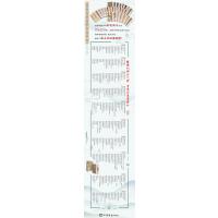 彩色放大本中国著名碑帖:怀素草书千字文