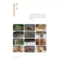 当代长安.卷1