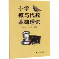 小学数与代数基础理论