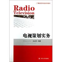 广播电视学实务系列教材:电视策划实务