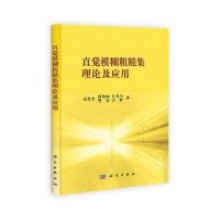 直觉模糊粗糙集理论及应用