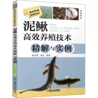 高效养殖致富直通车 泥鳅高效养殖技术精解与实例
