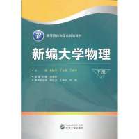 新编大学物理(下册)