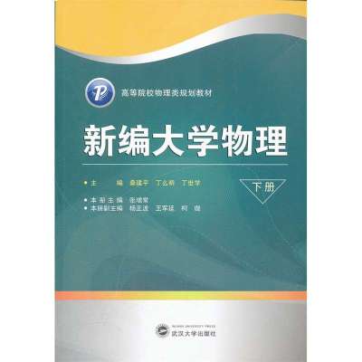 新编大学物理(下册)