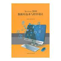 Access 2010 数据库技术与程序设计