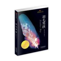 羽毛男孩/国际大奖小说