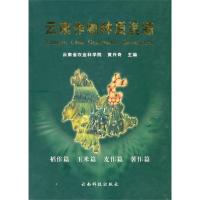 云南作物种质资源