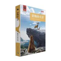 [M]猎物的生活-9787515319902