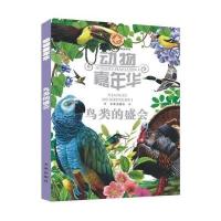 动物嘉年华:鸟类的盛会