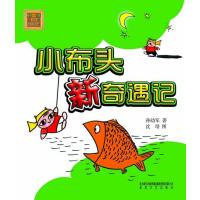 小布头新奇遇记-春风.注音aoe名家名作/孙幼军