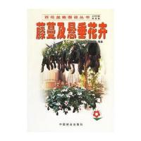 [M]藤蔓及悬垂花卉//百花盆栽图说丛书-9787503836152