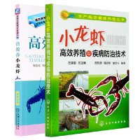 高效养小龙虾(高效养殖致富直通车)