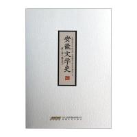 安徽文学史(第3卷现当代)