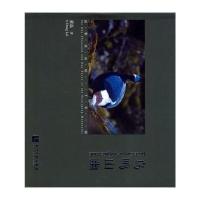 [M]鸟鸣山幽-9787513025249