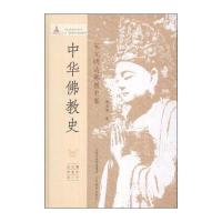 中华佛教史(宋元明清佛教史卷)(精)