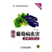 [M]图说葡萄病虫害诊断与防治-9787111465171