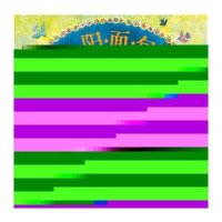 《太阳面包》/〔美〕埃莉莎·克莱文,徐泓翻译