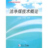 洁净煤技术概论/赵利安,许振良