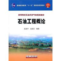 石油工程概论/陈涛平,吴晓东