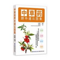 [M]中草药野外速认图集-9787533545581