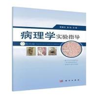 病理学实验指导