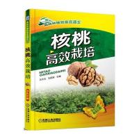核桃高效栽培