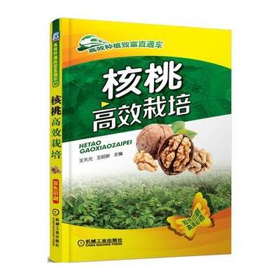 核桃高效栽培