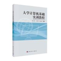 大学计算机基础实训教程