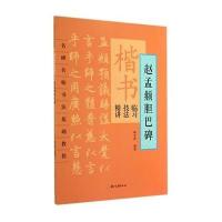 [M]楷书临习技法精讲-9787554002315