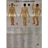 [M]人体经穴与主治病症对照图(第2版)-9787534972973