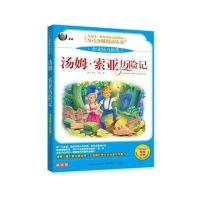 大阅读--汤姆 索亚历险记(彩图拼音版)(一版一次)