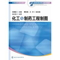 化工与制药工程制图