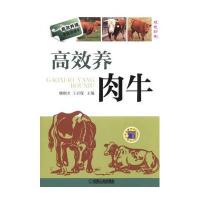 高效养肉牛(高效养殖致富直通车)