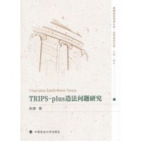 [M]TRIPS-plus造法问题研究-9787562058236