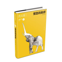 沈石溪作品-愤怒的象群