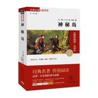 神秘岛(平装全译本 名家名译)