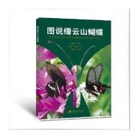 图说缙云山蝴蝶