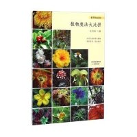 植物秘闻馆:植物魔法大比拼