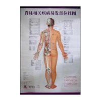 [M]脊柱相关疾病易发部位挂图-9787513224420