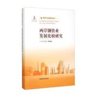 两岸钢铁业发展比较研究