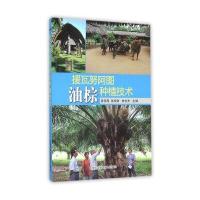 援瓦努阿图油棕种植技术