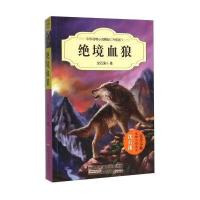 16中外动物小说精品 绝境血狼 升级版 沈石溪荣誉奉献安徽少儿 小学生3-6年级9-10-11-13岁儿童课外阅读校园
