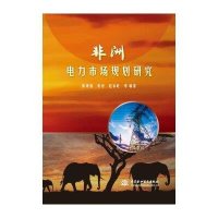 非洲电力市场规划研究